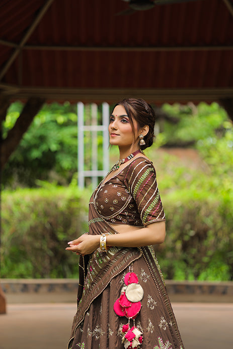 Brown Lehenga Choli