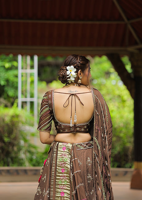 Brown Lehenga Choli