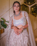 Grey Lehenga Choli